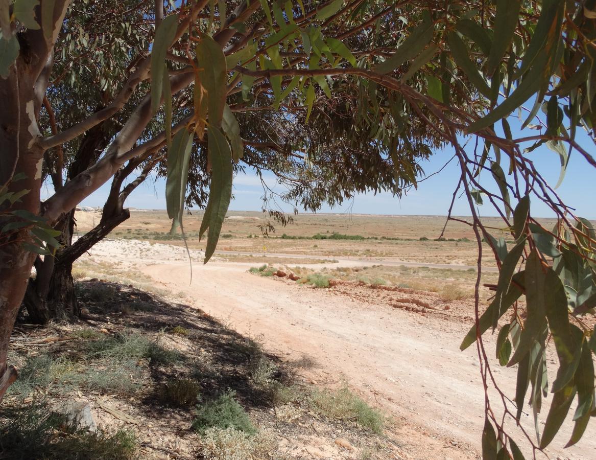 Dinky Di'S Dugout Coober Pedy Exterior foto